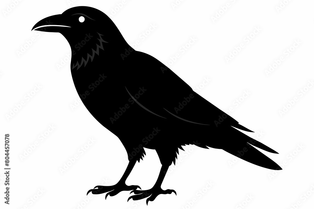 Fototapeta premium crow silhouette on white background, Vector illustration, icon, svg, characters, Holiday t shirt, Hand drawn trendy Vector illustration