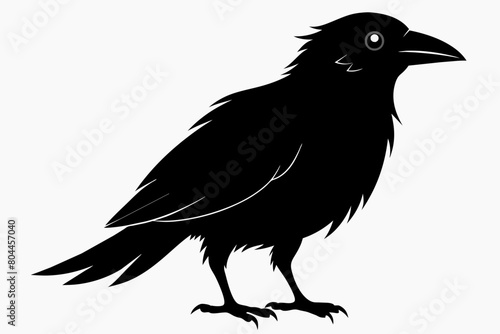 crow silhouette on white background, Vector illustration, icon, svg, characters, Holiday t shirt, Hand drawn trendy Vector illustration