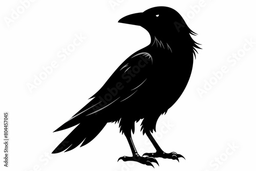 crow silhouette on white background, Vector illustration, icon, svg, characters, Holiday t shirt, Hand drawn trendy Vector illustration