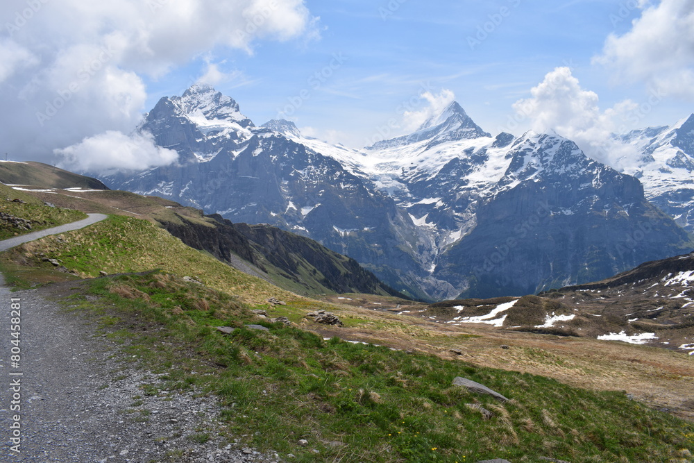 Alpes suisses enneigées depuis un chemin de randonnée