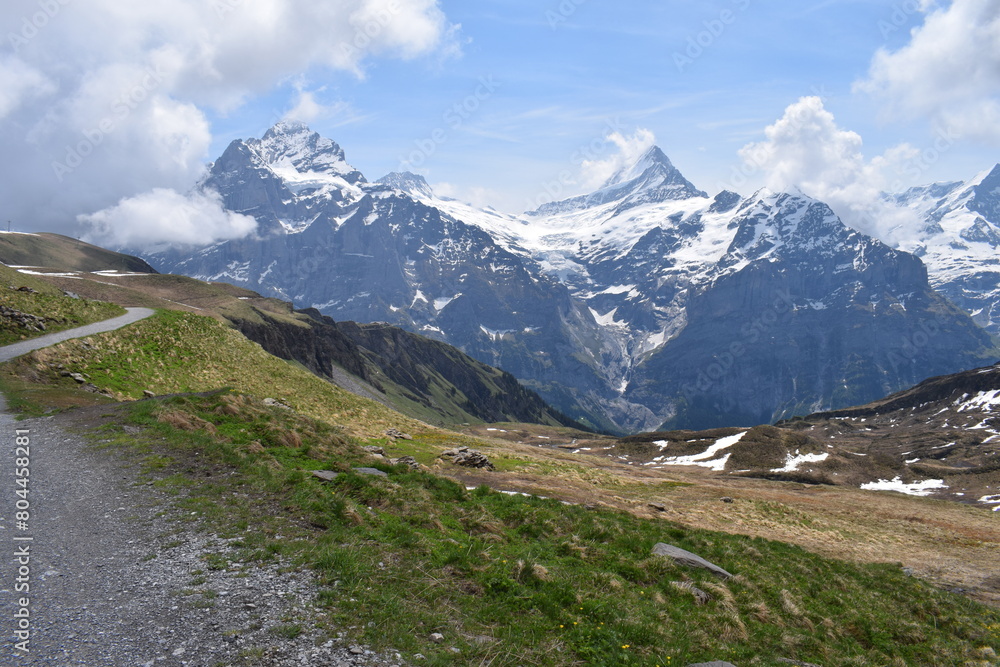 Alpes suisses enneigées depuis un chemin de randonnée Alpes suisses enneigées depuis un chemin de randonnée