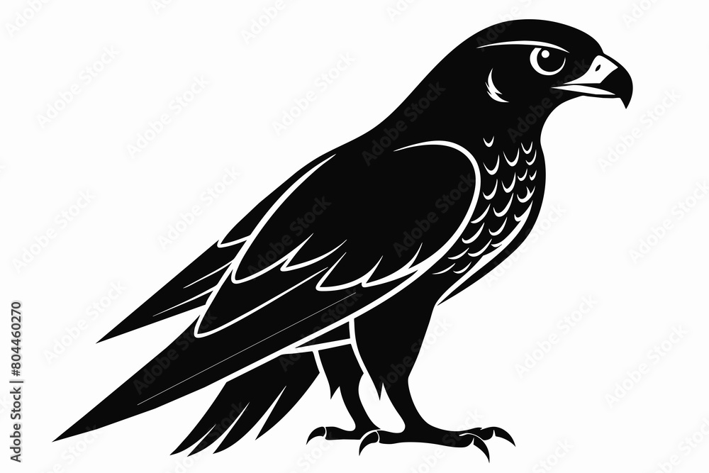 Fototapeta premium Falcon silhouette on white background, Vector illustration, icon, svg, characters, Holiday t shirt, Hand drawn trendy Vector illustration