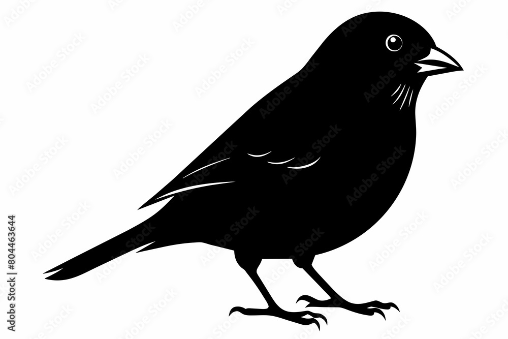 Finch silhouette on white background, Vector illustration, icon, svg, characters, Holiday t shirt, Hand drawn trendy Vector illustration, eagle silhouette Finch silhouette on white background, Vector illustration, icon, svg, characters, Holiday t shirt, Hand drawn trendy Vector illustration, eagle silhouette