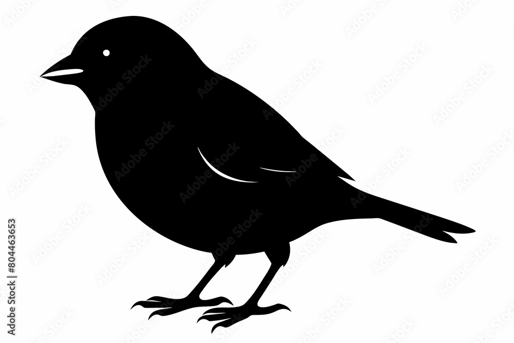 Finch silhouette on white background, Vector illustration, icon, svg, characters, Holiday t shirt, Hand drawn trendy Vector illustration, eagle silhouette Finch silhouette on white background, Vector illustration, icon, svg, characters, Holiday t shirt, Hand drawn trendy Vector illustration, eagle silhouette