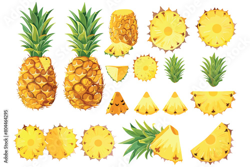 Fresh pineapple, Fresh whole half and cut slice pineapple, Half and ring vector pineapple slice, Summer fruits, Healthy fruits, Tropical fruit, Organic fruit, Vector illustration