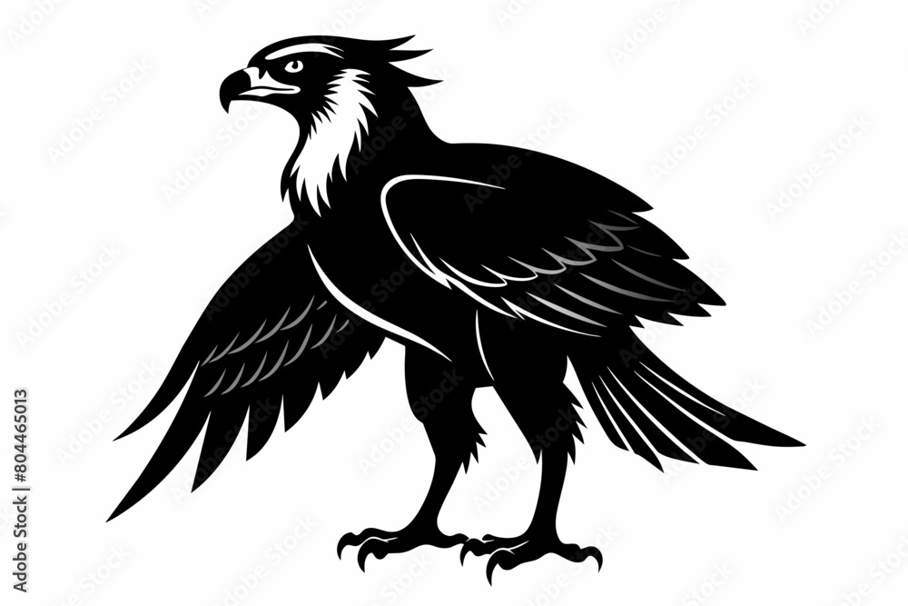Fototapeta premium Osprey silhouette on white background, Vector illustration, icon, svg, characters, Holiday t shirt, Hand drawn trendy Vector illustration, eagle silhouette