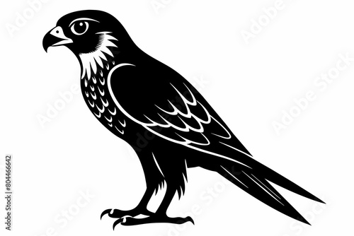 Foto kestrel silhouette on white background, Vector illustration, icon, svg, characte