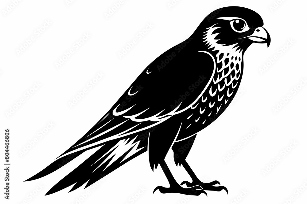 Fototapeta premium kestrel silhouette on white background, Vector illustration, icon, svg, characters, Holiday t shirt, Hand drawn trendy Vector illustration, eagle silhouette