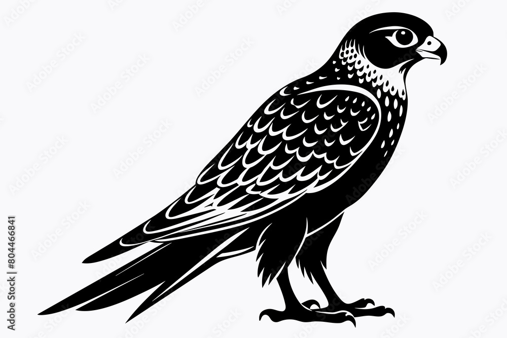 kestrel silhouette on white background, Vector illustration, icon, svg, characters, Holiday t shirt, Hand drawn trendy Vector illustration, eagle silhouette kestrel silhouette on white background, Vector illustration, icon, svg, characters, Holiday t shirt, Hand drawn trendy Vector illustration, eagle silhouette