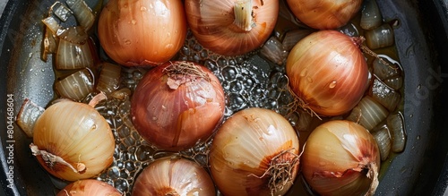 Onions Sautéed in Pan on Stove photo