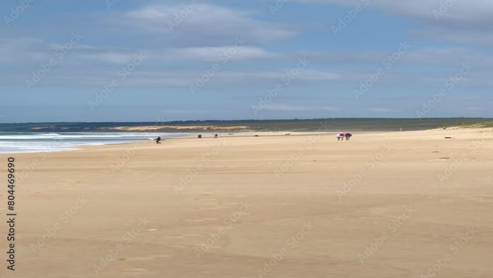 Serene Beach Scene with Waves and Clear Blue Sky