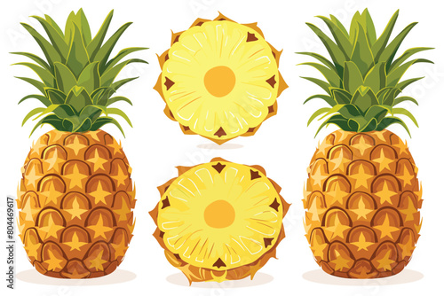 Fresh pineapple, Fresh whole half and cut slice pineapple, Half and ring vector pineapple slice, Summer fruits, Healthy fruits, Tropical fruit, Organic fruit, Vector illustration