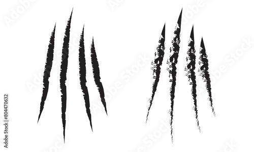 Animal claw scratches. Silhouette style vector icons. Claw scratch vector illustration. Set of cruel animal scratches horror and grunge concept in silhouette isolated on white background in eps 10. photo