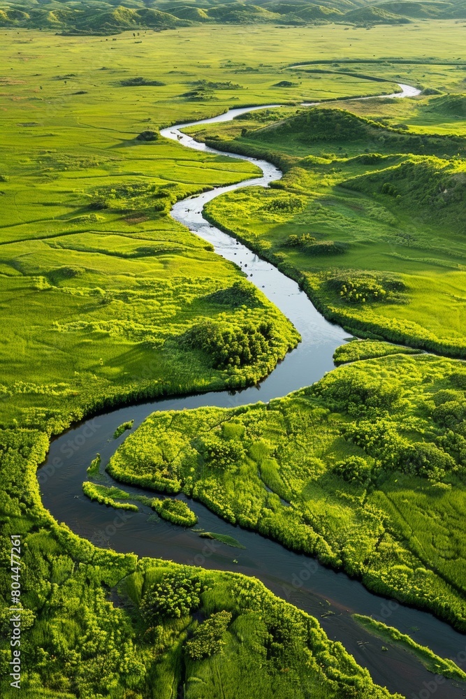 Aerial view of a lush green meadow bathed in golden morning light, with a winding river snaking through it Aerial view of a lush green meadow bathed in golden morning light, with a winding river snaking through it