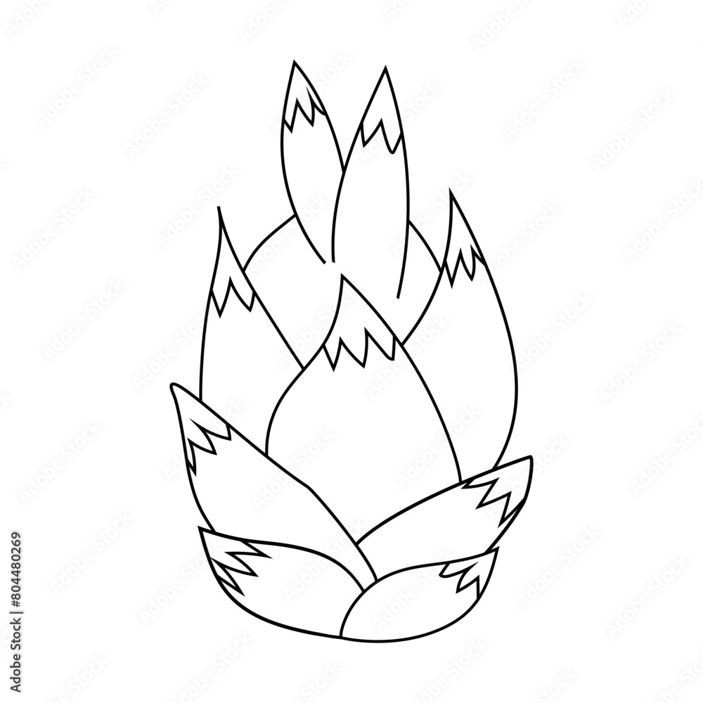 Whole dragon fruit or pitaya, doodle style flat vector outline for coloring book Whole dragon fruit or pitaya, doodle style flat vector outline for coloring book