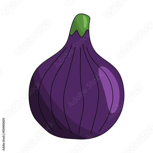 Ripe fig fruit, cartoon icon isolated on white, summer fruit vector