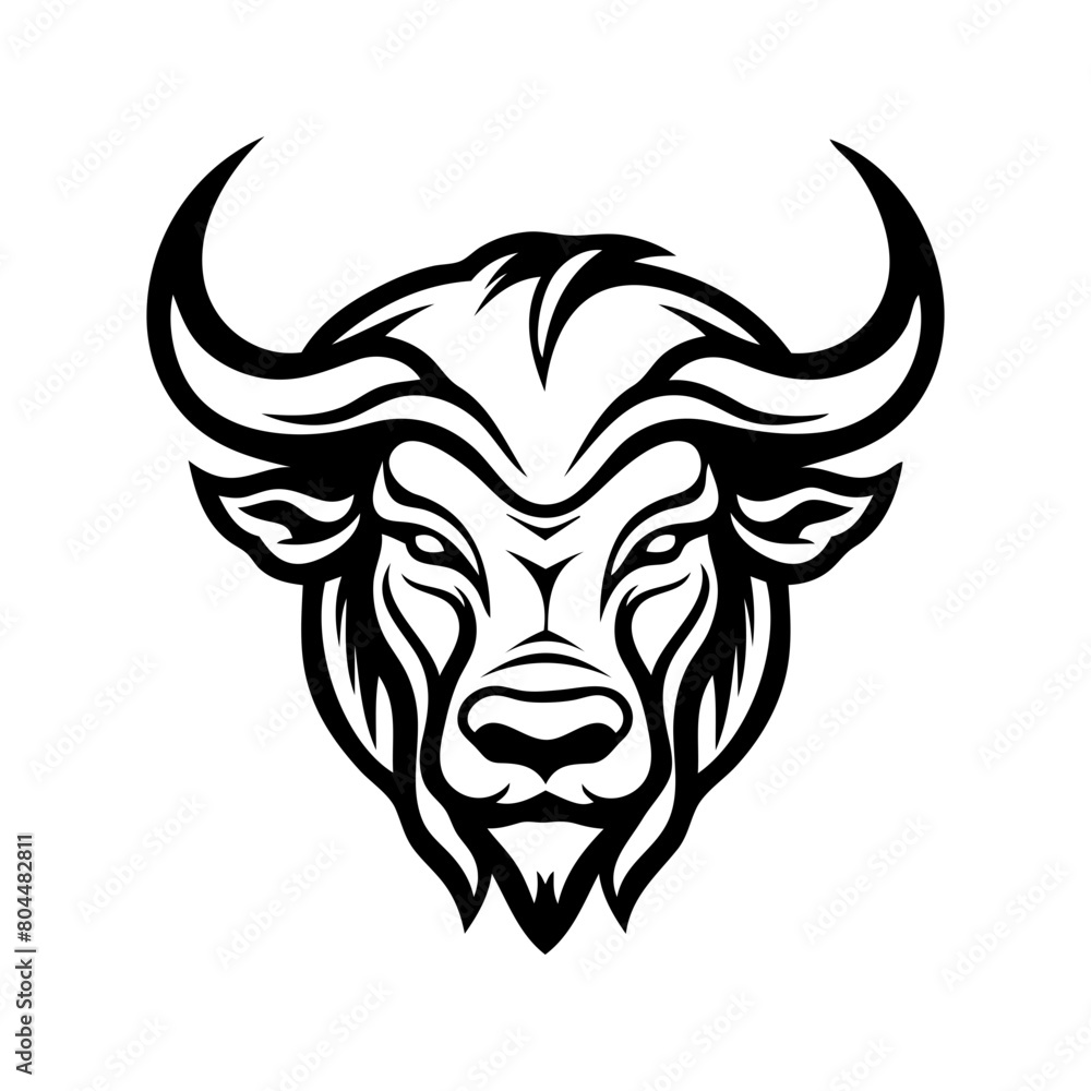 head of a bull head of a bull