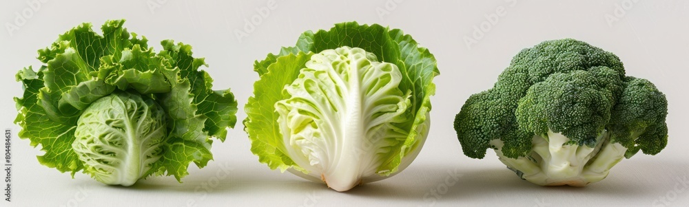 photo of broccoli vegetables, green vegetables on a white background photo of broccoli vegetables, green vegetables on a white background