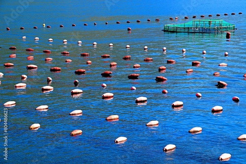 Aqua farm in the Bay of Kotor of the Adriatic Sea for growing fish, oysters and mussels