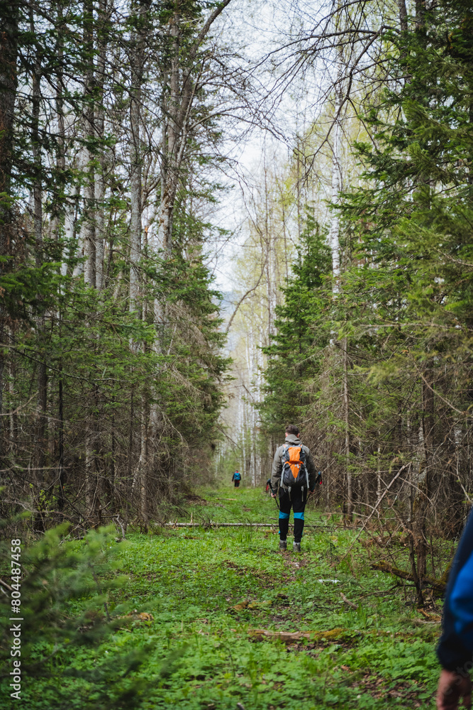 Obraz premium Two individuals stroll through a lush forest under the sky