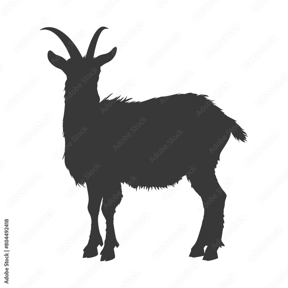 Obraz premium silhouette goat animal black color only full body