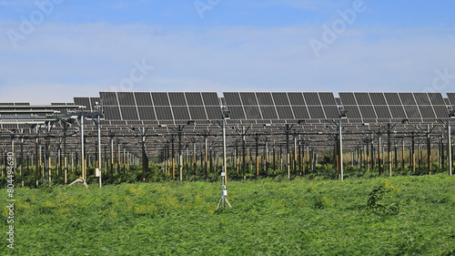 Serre photovoltaïque agricole.