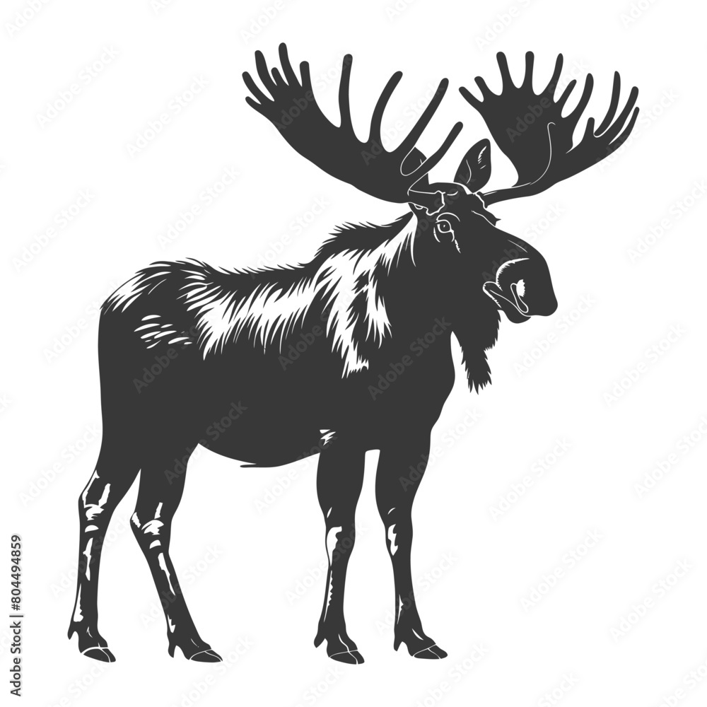 silhouette moose animal full body black color only silhouette moose animal full body black color only