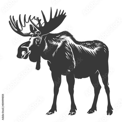 silhouette moose animal full body black color only