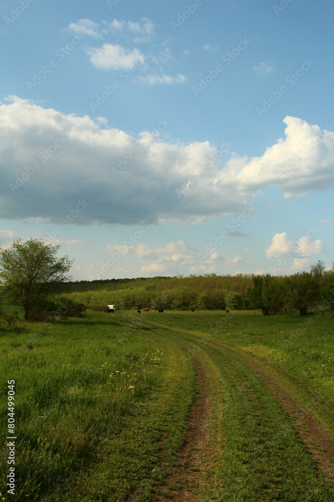 Obraz premium A dirt road through a field