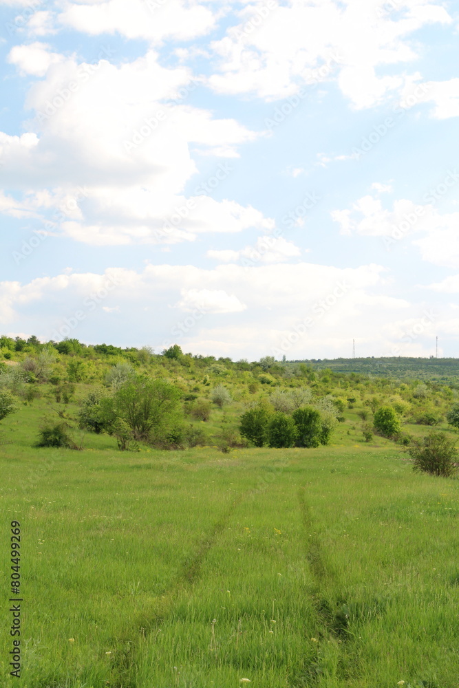 Obraz premium A grassy field with trees and clouds in the sky