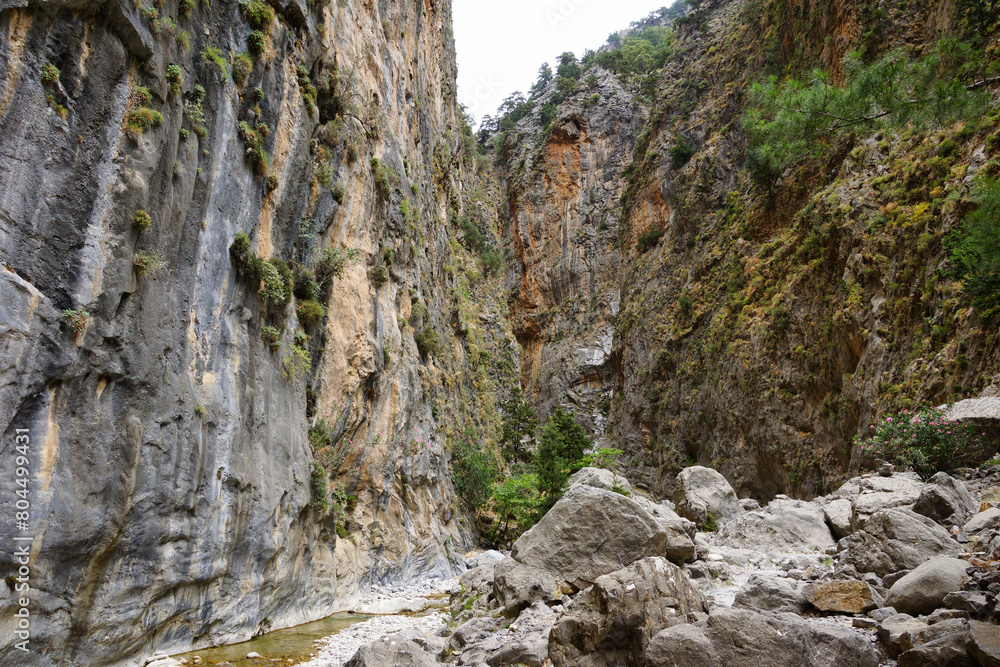 The Samaria Gorge is a National Park of Greece since 1962 on the island of Crete. The Samaria Gorge is a National Park of Greece since 1962 on the island of Crete.