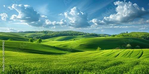 Tranquil beauty of springtime nature in peaceful countryside landscape. Green grass, blue sky, white clouds, rolling hills