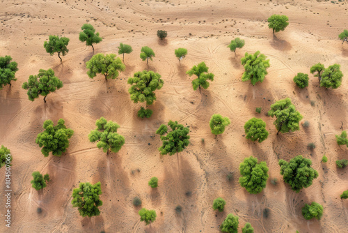 Aerial view of robust trees dotting the sandy landscape, symbolizing the african great green wall initiative combating desertification and promoting sustainability in the sahel region photo