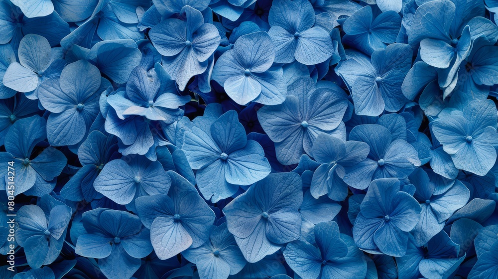 A cluster of blue flowers, surrounded by more clusters of blue flowers A cluster of blue flowers, surrounded by more clusters of blue flowers