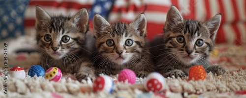 Adopt a kitten today! These three cuties are looking for their fur-ever home. photo
