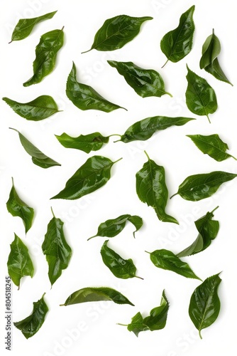 Artistic tea leaves in gray, teal, and emerald on white background. Styled with a raw cutout effect.