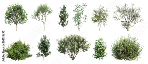 Set of beautiful bushes PNG transparent background