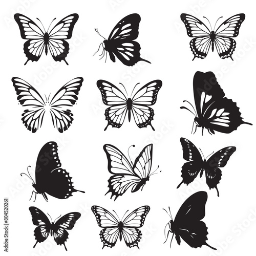 Butterflies silhouette set. Vector illustration Closeup design element black butterfly. Side