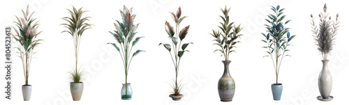 collection of high indoor decoration plants on glass ceramic pot  ornamental plants  isolated on white or transparent background .