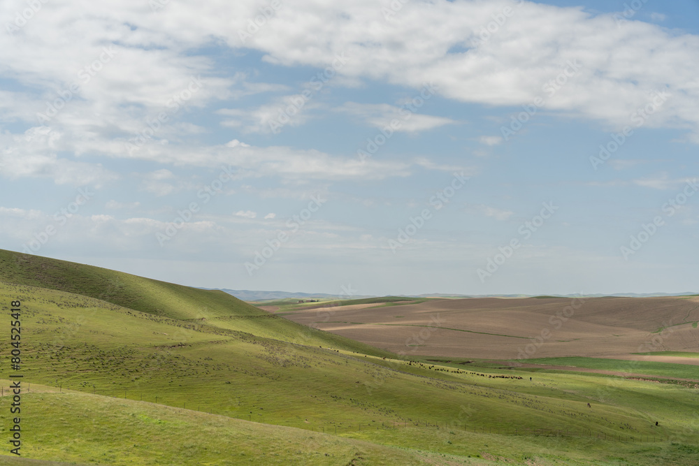 A large, open field with a clear blue sky. The sky is dotted with clouds, and the grass is lush and green. The scene is peaceful and serene, with no signs of human activity A large, open field with a clear blue sky. The sky is dotted with clouds, and the grass is lush and green. The scene is peaceful and serene, with no signs of human activity