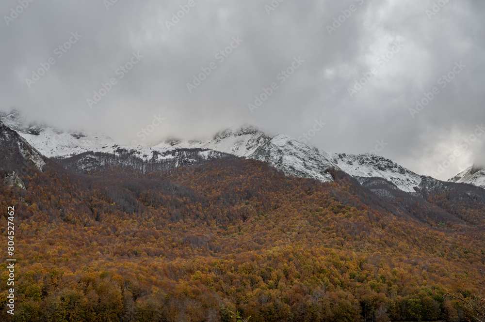 Molise, Mainarde. Autumn landscape. Foliage