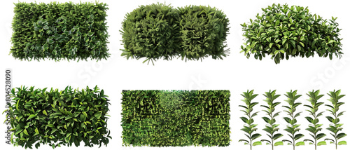 Set of bushes PNG transparent background