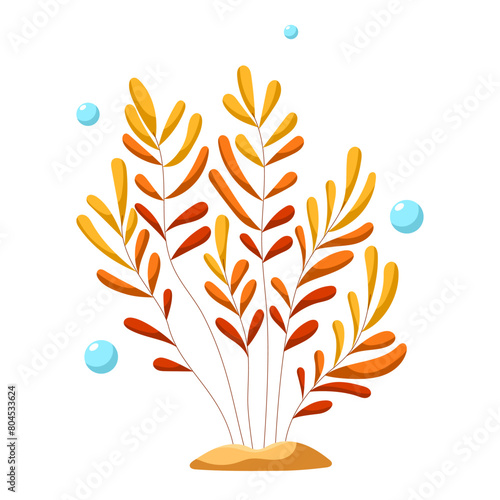 Ocean and sea plant, underwater flora, seaweed, marine life. Aquatic plant, algae, tropical seabed vector element. © Yuliia Sydorova