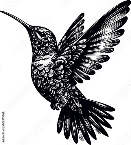 humming bird svg bundle-9.eps