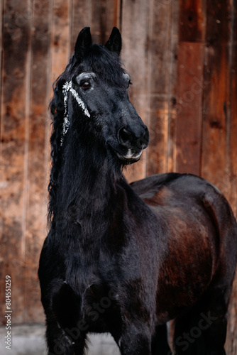 Fotografie Friese mit Blattsilber