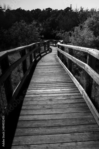 The new wood pathway of Punta Marina Terme reminds me Balearic Islands © RedRumStudio