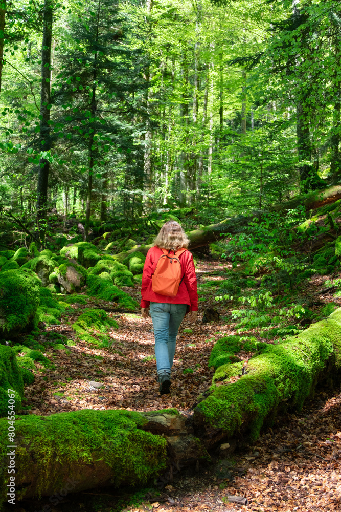hiker woman in red jacket walking in forest covered with a green moss hiker woman in red jacket walking in forest covered with a green moss