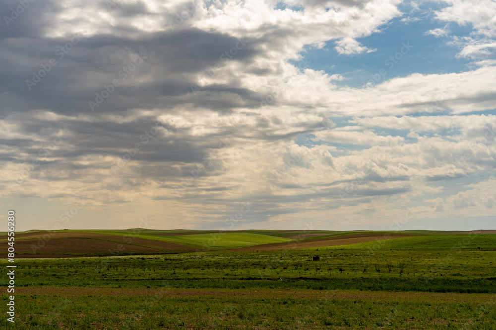 A field of grass with a cloudy sky in the background. The sky is mostly cloudy with a few patches of blue A field of grass with a cloudy sky in the background. The sky is mostly cloudy with a few patches of blue
