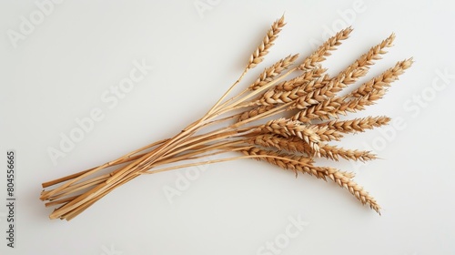 A Bundle of Golden Wheat