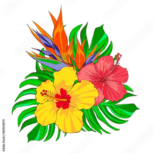 Bouquet of tropical flowers strelizia  hibiscus and monstera leaves. Hand drawn illustration isolated on white background. Composition of Brazil flowers. Printing for packaging and fabric design.